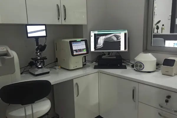 Petliv Veteriner Kliniği Acil Veteriner - Resim 5