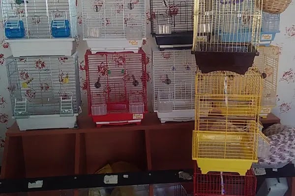 Aydoğan Petshop - Resim 6