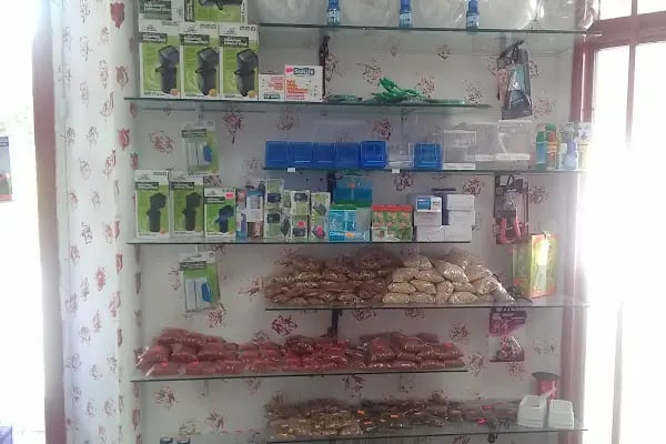 Aydoğan Petshop - Resim 8