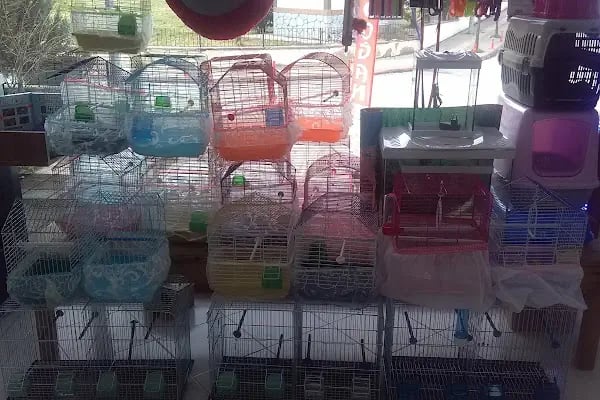 Aydoğan Petshop - Resim 11