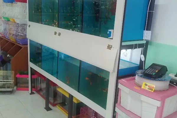 Aydoğan Petshop - Resim 9