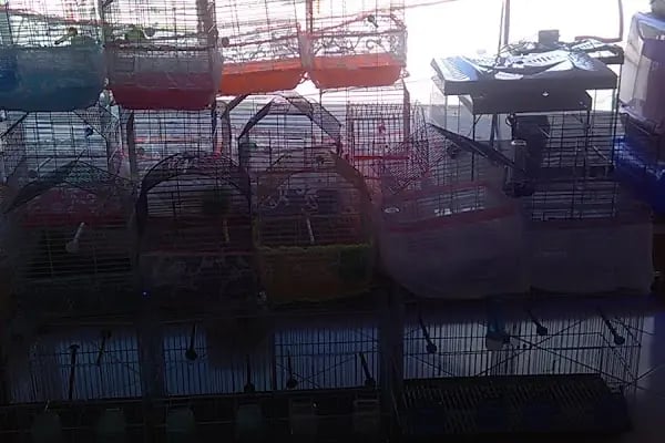 Aydoğan Petshop - Resim 14