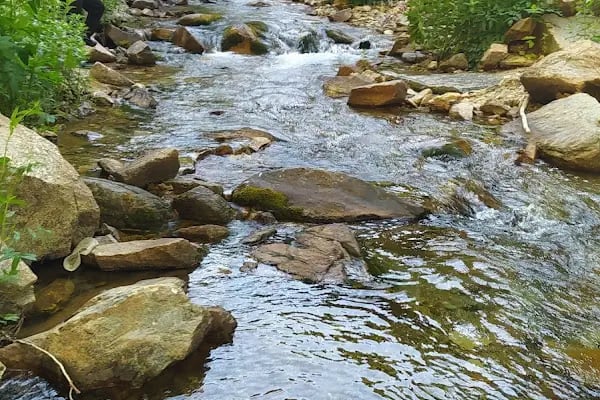 Huzurlu Yaylası - Resim 9