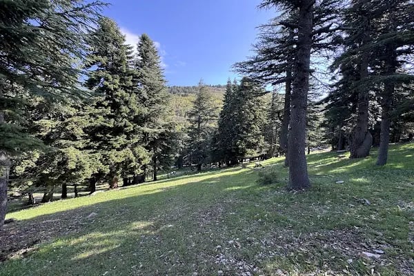 Huzurlu Yaylası - Resim 6