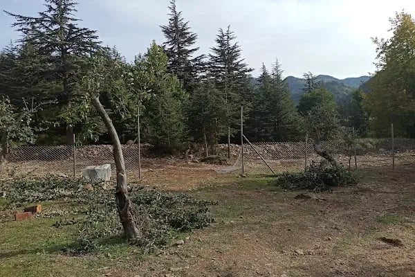 Huzurlu Yaylası - Resim 10