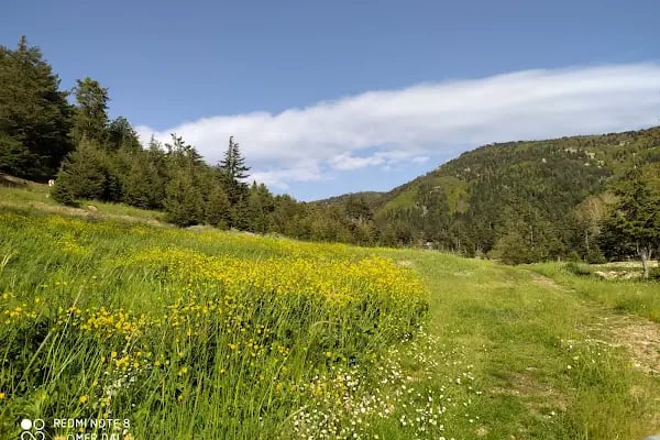 Huzurlu Yaylası - Resim 2