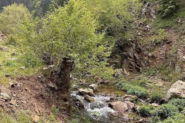 Huzurlu Yaylası - Resim 18