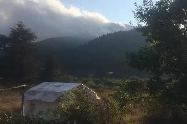 Huzurlu Yaylası - Resim 12