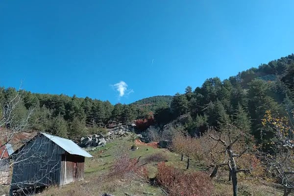 Huzurlu Yaylası - Resim 17