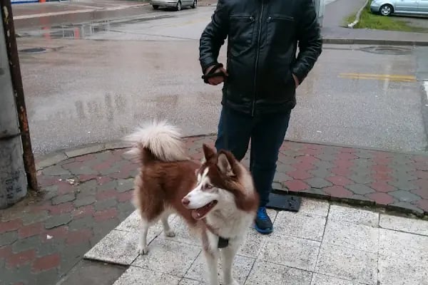Yepaş Ekmek Fabrikası - Resim 12
