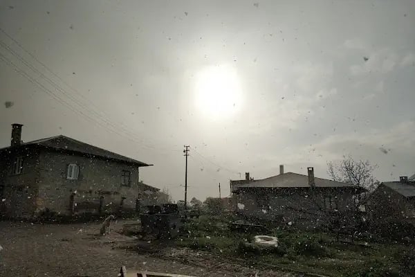 Ahırlı - Resim 13