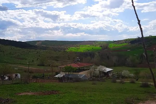Mahmudiye Mahallesi Muhtarlığı - Resim 12