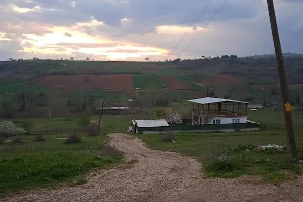 Mahmudiye Mahallesi Muhtarlığı - Resim 1
