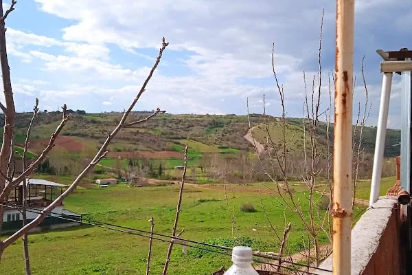 Mahmudiye Mahallesi Muhtarlığı - Resim 5