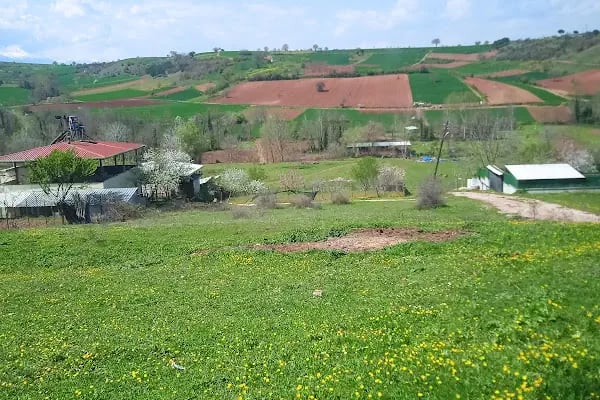 Mahmudiye Mahallesi Muhtarlığı - Resim 4