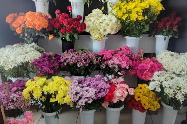 Sefaköy Çiçekçi &amp; İzden Flowers - Resim 13