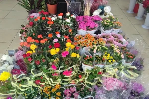 Sefaköy Çiçekçi &amp; İzden Flowers - Resim 16