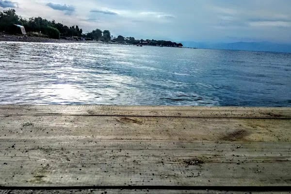 ankara büyükşehir belediyesi altınoluk eğitim ve dinlenme tesisir - Resim 16