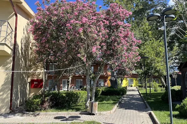 ankara büyükşehir belediyesi altınoluk eğitim ve dinlenme tesisir - Resim 10