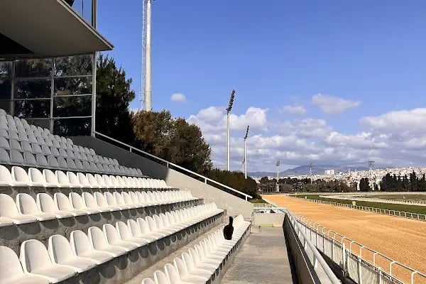 T.J.K Şirinyer Hipodromu - Resim 8