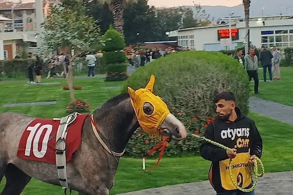 T.J.K Şirinyer Hipodromu - Resim 15