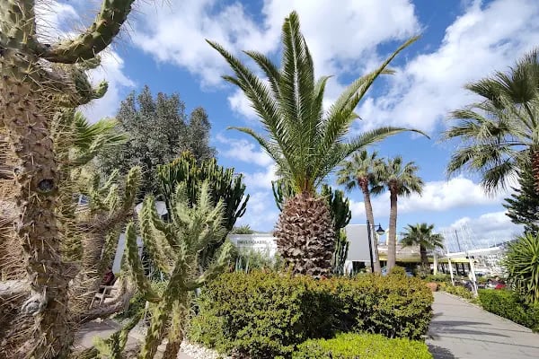 Marina Yacht Club Bodrum - Resim 12