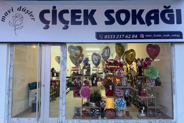 Mavi Düşler Çiçek Sokağı - Resim 1