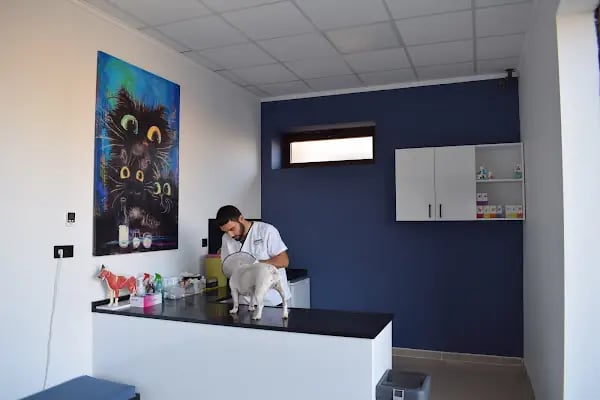 Çınar Veteriner Polikliniği - Resim 2