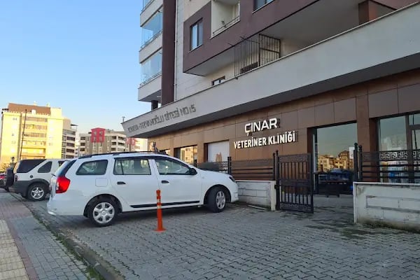 Çınar Veteriner Polikliniği - Resim 3