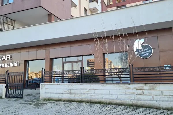 Çınar Veteriner Polikliniği - Resim 14
