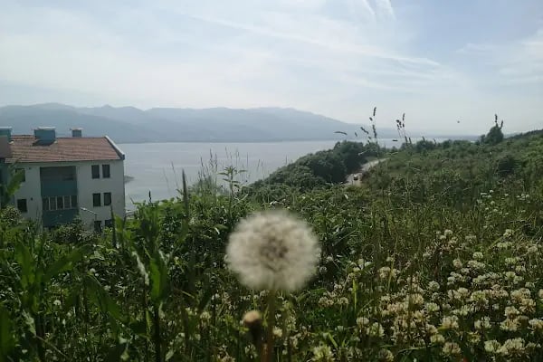 Ortadoğu Enstitüsü - Resim 5