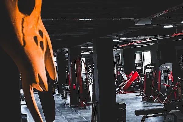 Odin Gym Fitness Adana - Resim 4