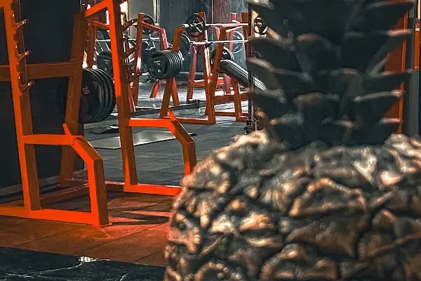 Odin Gym Fitness Adana - Resim 8