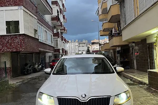 Oba Alanya - Resim 8