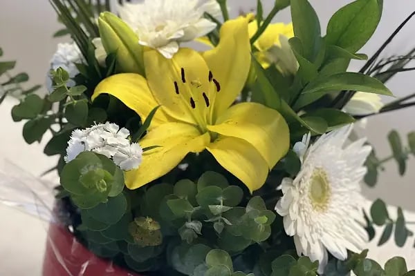 Flowershop - Resim 10