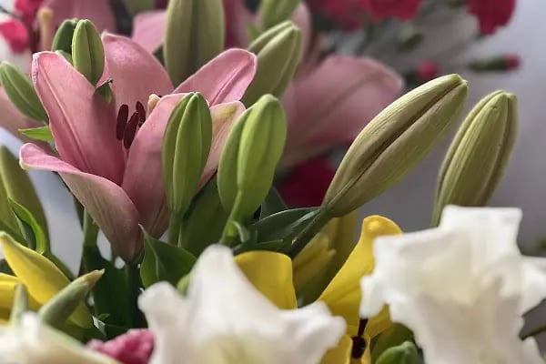 Flowershop - Resim 7
