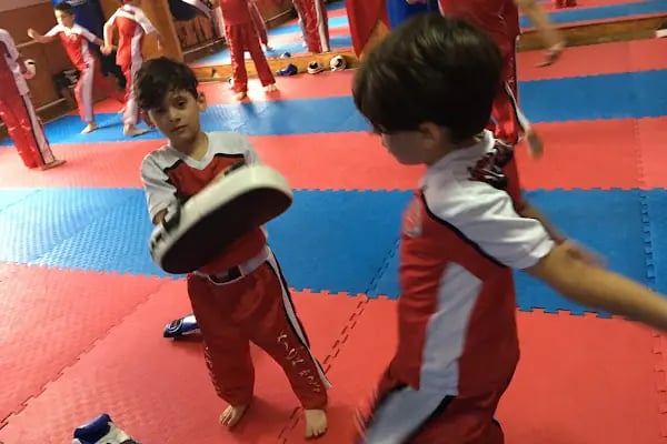 Sakarya Kickboks Sportif Spor Kulübü - Resim 18