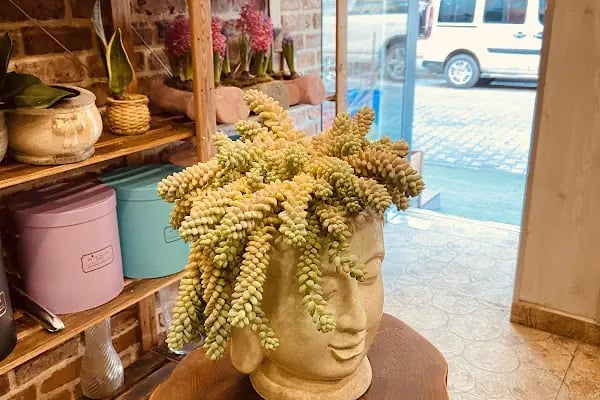 Bambu Flowers - Resim 6