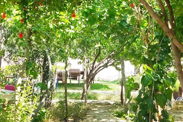 Gece Denizi Kamp Yeri - Karavan ve Çadır Kampı - Resim 5