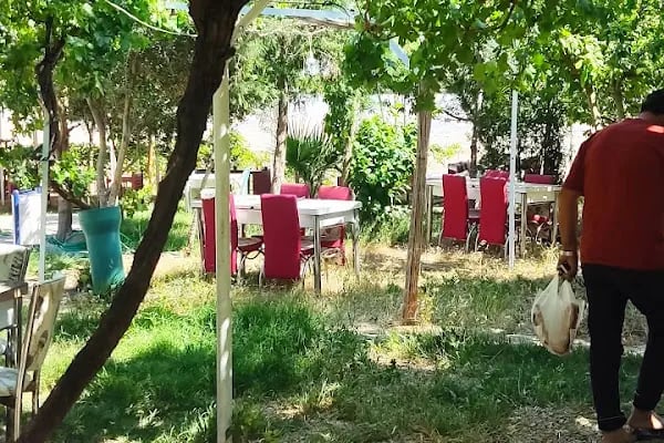 Gece Denizi Kamp Yeri - Karavan ve Çadır Kampı - Resim 4