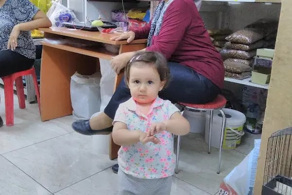 Konya Ayyıldız Petshop-Shop-Kedi maması-Konserve- Kedi kumu - Tuvaleti -yaş mama- Kedi-Köpek-Maması-pet shop-Pet dükkan - Resim 11