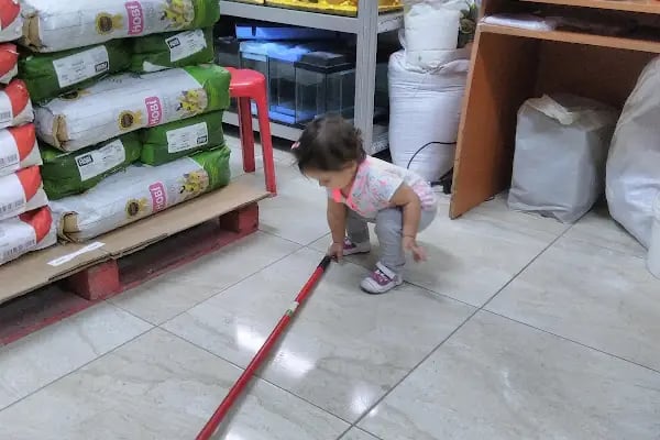 Konya Ayyıldız Petshop-Shop-Kedi maması-Konserve- Kedi kumu - Tuvaleti -yaş mama- Kedi-Köpek-Maması-pet shop-Pet dükkan - Resim 3