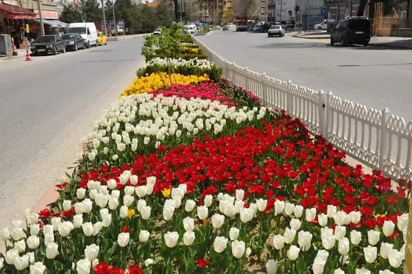 Akşehir Pazar Alanı - Resim 19