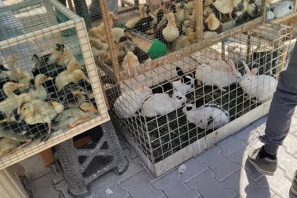 Akşehir Pazar Alanı - Resim 16