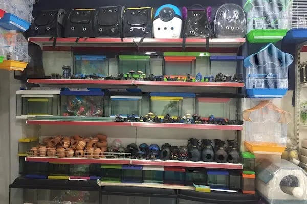 Tuana Petshop - Resim 10