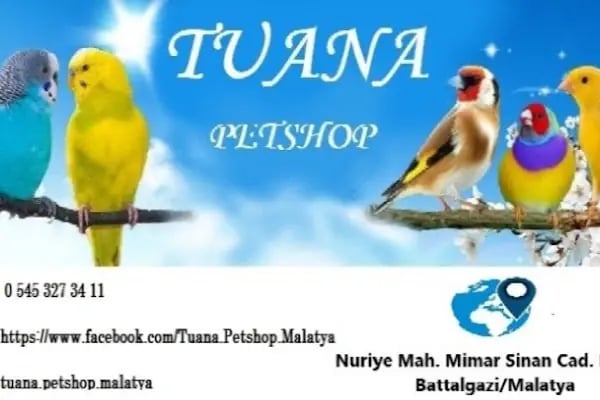 Tuana Petshop - Resim 16