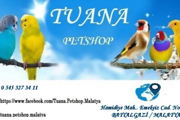 Tuana Petshop - Resim 17