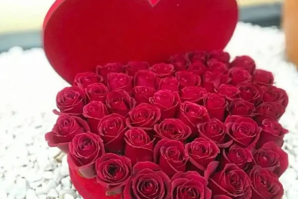 AKDENİZ ÇİÇEK Alanya / FLOWER SHOP/ BALLOONS - Resim 15