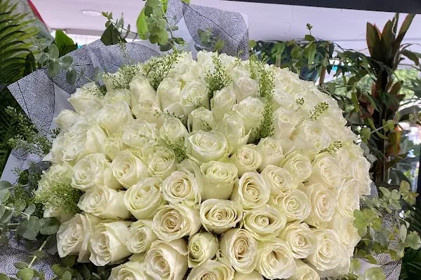 AKDENİZ ÇİÇEK Alanya / FLOWER SHOP/ BALLOONS - Resim 7