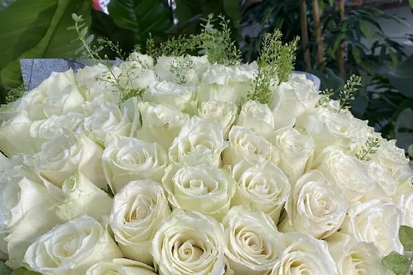 AKDENİZ ÇİÇEK Alanya / FLOWER SHOP/ BALLOONS - Resim 10